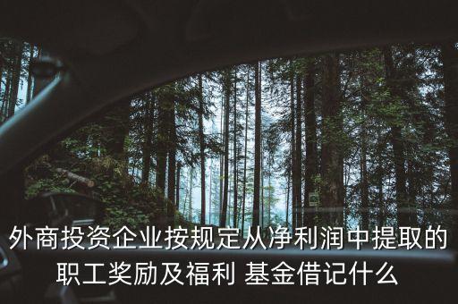 外商投資企業(yè)按規(guī)定從凈利潤中提取的職工獎(jiǎng)勵(lì)及福利 基金借記什么