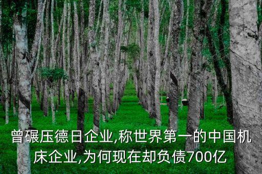 中國(guó)高科市值空間,國(guó)軒高科未來(lái)市值空間