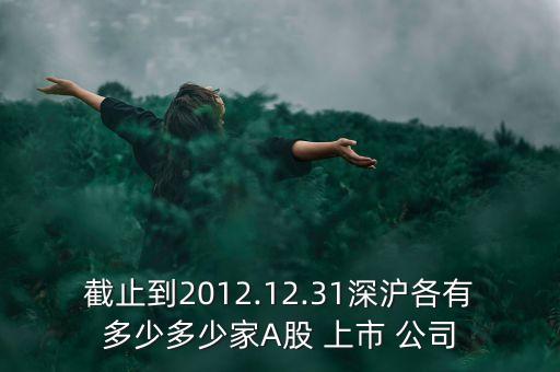 截止到2012.12.31深滬各有多少多少家A股 上市 公司