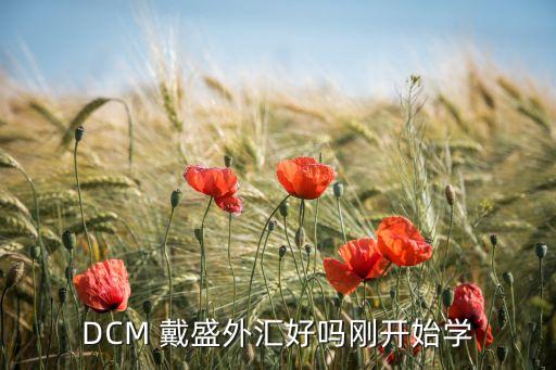 DCM 戴盛外匯好嗎剛開始學(xué)