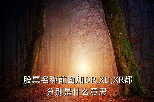  股票名稱(chēng)前面加DR,XD,XR都分別是什么意思