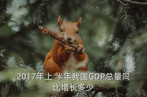 2017年上 半年我國(guó)GDP總量同比增長(zhǎng)多少