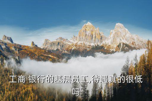 工商 銀行的基層員工,待遇真的很低嗎