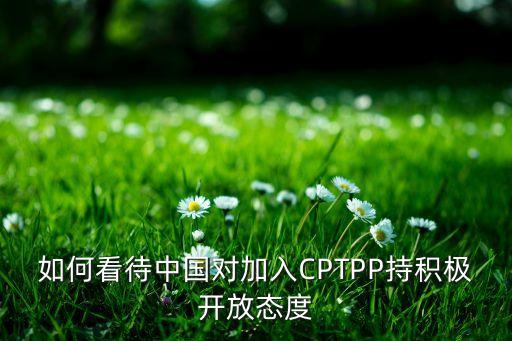 如何看待中國對(duì)加入CPTPP持積極開放態(tài)度