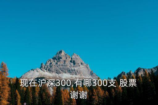 現在滬深300,有哪300支 股票謝謝