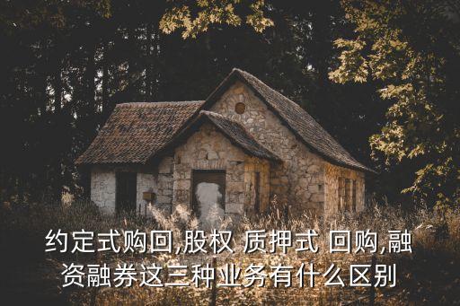 股票質(zhì)押式回購交易及登記