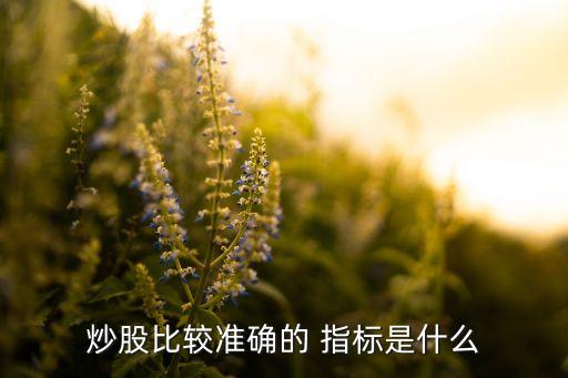 炒股比較準(zhǔn)確的 指標(biāo)是什么