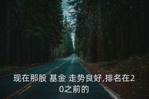 現在那股 基金 走勢良好,排名在20之前的