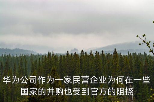 中國為什么打壓民企,為什么打壓中國芯片