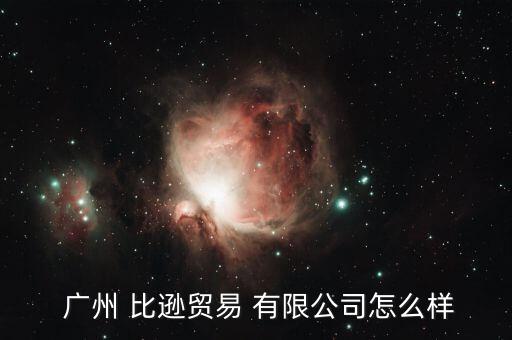  廣州 比遜貿(mào)易 有限公司怎么樣