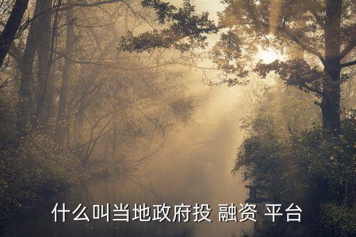 為什么要成立融資平臺(tái)公司,平臺(tái)不賺錢(qián)為什么能得到融資