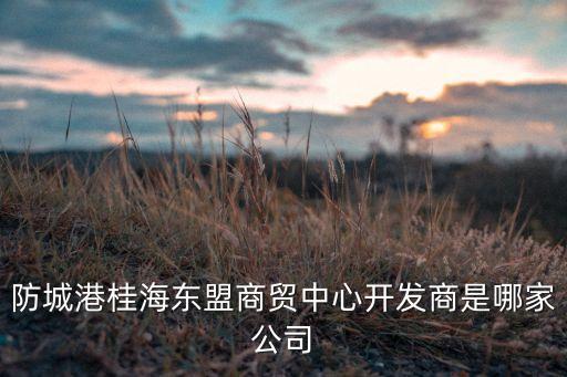 珠海同冠貿(mào)易有限公司