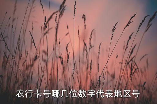 農(nóng)行卡號(hào)哪幾位數(shù)字代表地區(qū)號(hào)