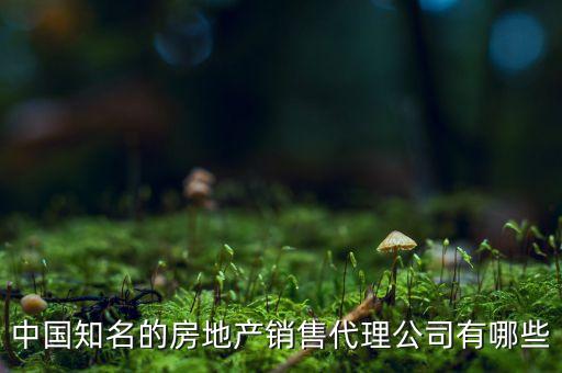 中國知名的房地產(chǎn)銷售代理公司有哪些