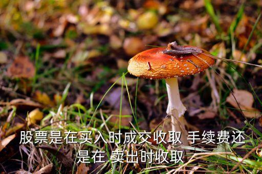  股票是在買入時成交收取 手續(xù)費還是在 賣出時收取