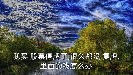 我買 股票停牌了,很久都沒(méi) 復(fù)牌,里面的錢怎么辦