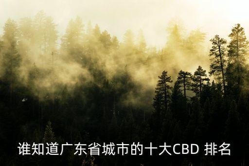 誰知道廣東省城市的十大CBD 排名