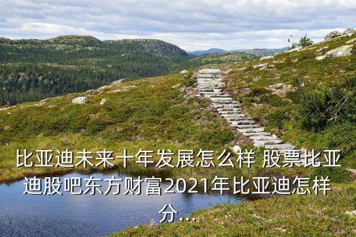 比亞迪未來十年發(fā)展怎么樣 股票比亞迪股吧東方財(cái)富2021年比亞迪怎樣分...