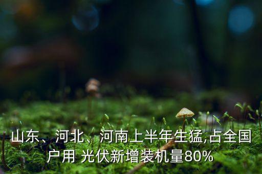 山東、河北、河南上半年生猛,占全國(guó)戶用 光伏新增裝機(jī)量80%