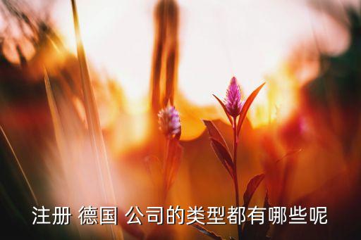 注冊(cè) 德國(guó) 公司的類型都有哪些呢