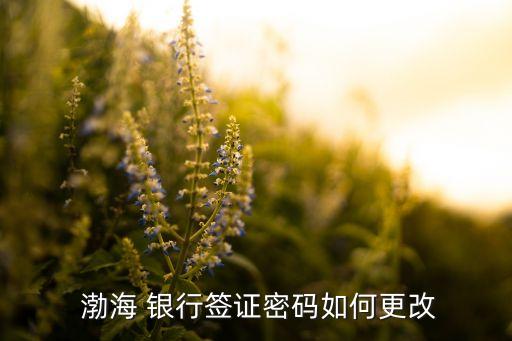 渤海銀行用戶名是什么