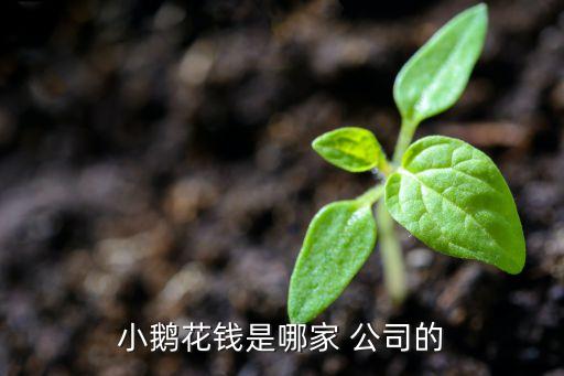 小鵝花錢是哪家 公司的