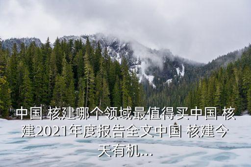 中國 核建哪個領(lǐng)域最值得買中國 核建2021年度報告全文中國 核建今天有機...