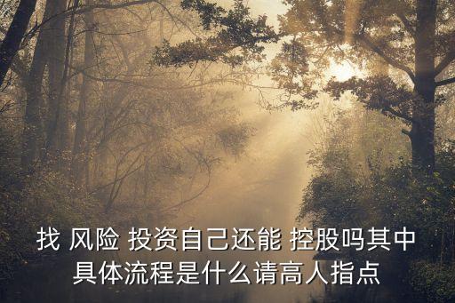 找 風(fēng)險 投資自己還能 控股嗎其中具體流程是什么請高人指點(diǎn)