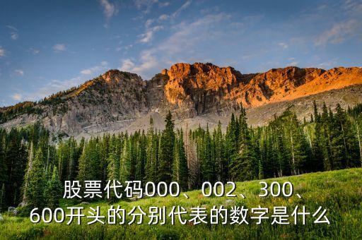  股票代碼000、002、300、600開頭的分別代表的數(shù)字是什么