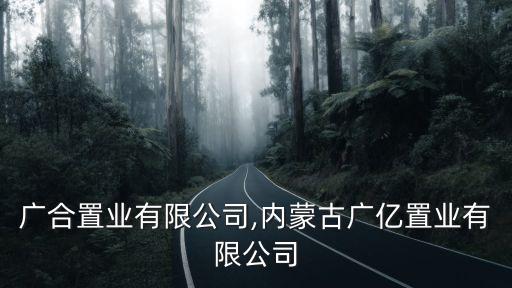 北京廣合置業(yè)有限公司,內(nèi)蒙古廣億置業(yè)有限公司