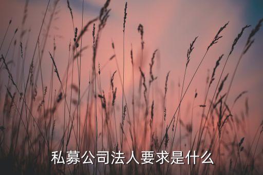  私募公司法人要求是什么