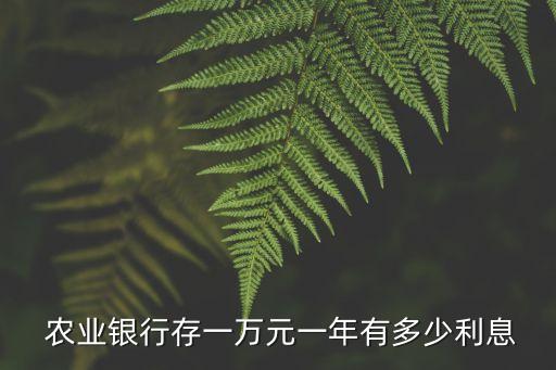  農(nóng)業(yè)銀行存一萬(wàn)元一年有多少利息