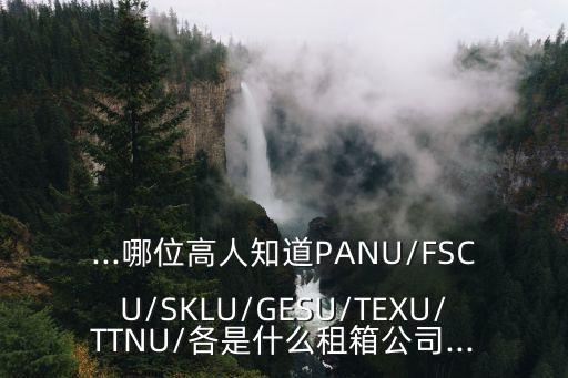 ...哪位高人知道PANU/FSCU/SKLU/GESU/TEXU/TTNU/各是什么租箱公司...