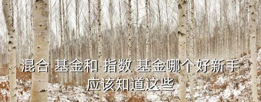 混合 基金和 指數(shù) 基金哪個好新手應該知道這些