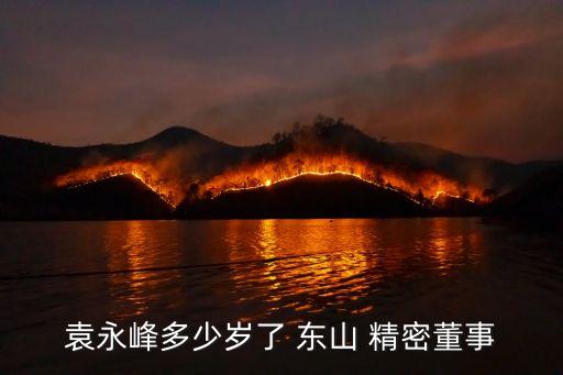 袁永峰多少歲了 東山 精密董事