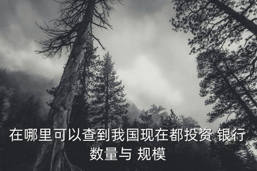 在哪里可以查到我國現(xiàn)在都投資 銀行數(shù)量與 規(guī)模