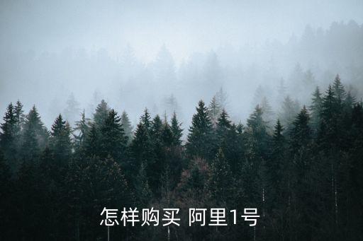 怎樣購(gòu)買(mǎi) 阿里1號(hào)