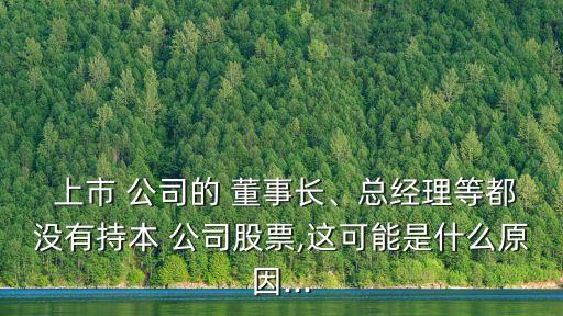  上市 公司的 董事長(zhǎng)、總經(jīng)理等都沒(méi)有持本 公司股票,這可能是什么原因...