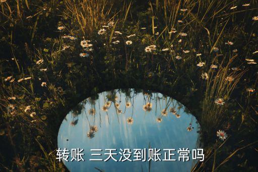  轉(zhuǎn)賬 三天沒(méi)到賬正常嗎