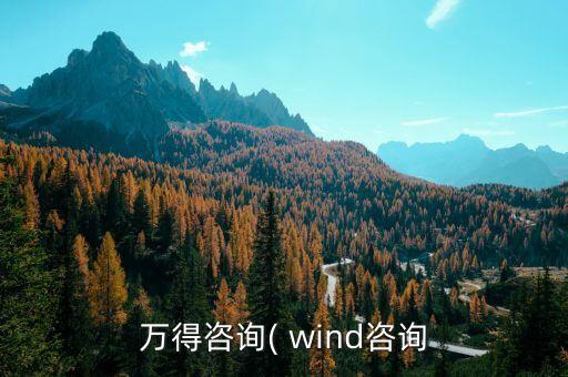 萬(wàn)得咨詢( wind咨詢