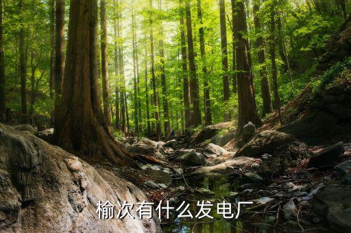 山西瑞浦熱電有限公司,山西福潤生物質(zhì)能熱電有限公司