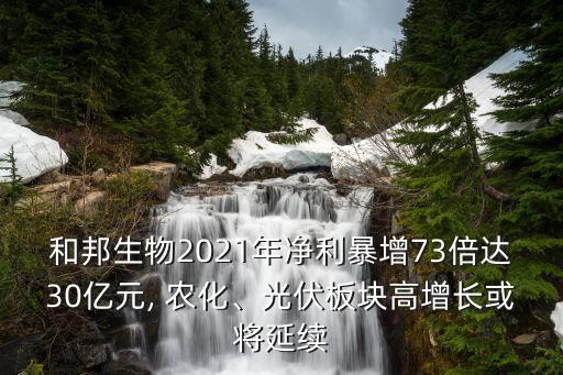 和邦生物2021年凈利暴增73倍達30億元, 農(nóng)化、光伏板塊高增長或?qū)⒀永m(xù)