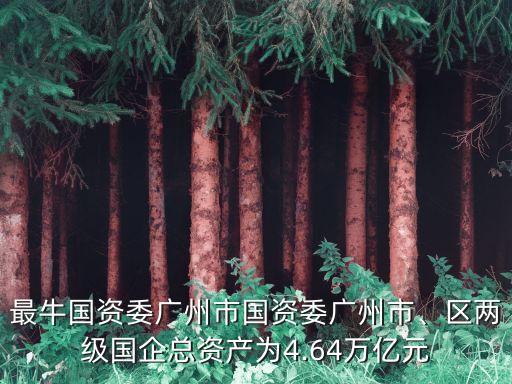 最牛國資委廣州市國資委廣州市、區(qū)兩級國企總資產為4.64萬億元