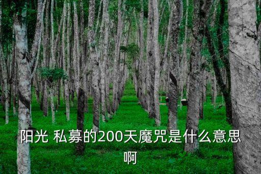 陽(yáng)光 私募的200天魔咒是什么意思啊