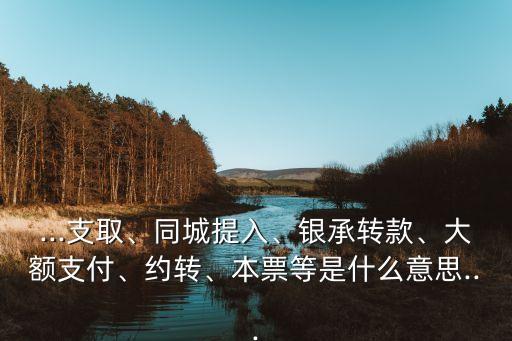 ...支取、同城提入、銀承轉(zhuǎn)款、大額支付、約轉(zhuǎn)、本票等是什么意思...