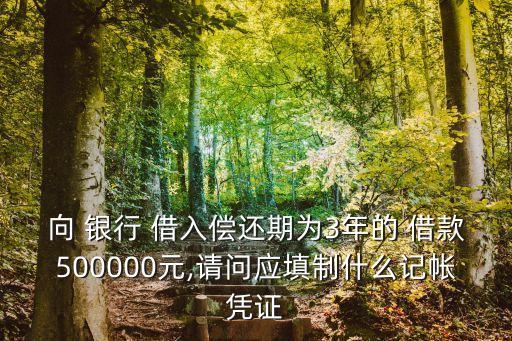 向 銀行 借入償還期為3年的 借款500000元,請(qǐng)問應(yīng)填制什么記帳憑證