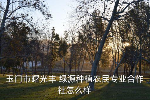 甘肅綠源公司法人,淮南綠源開發(fā)公司法人