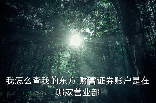 我怎么查我的東方 財(cái)富證券賬戶是在哪家營(yíng)業(yè)部