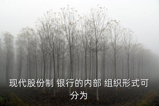 國(guó)有銀行的組織架構(gòu),我國(guó)國(guó)有銀行風(fēng)險(xiǎn)管理的組織架構(gòu)圖