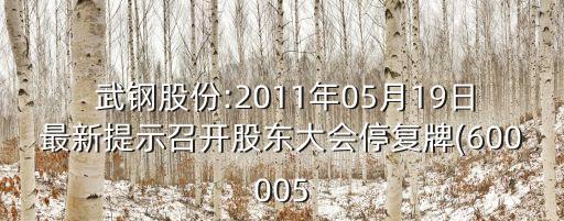  武鋼股份:2011年05月19日最新提示召開股東大會(huì)停復(fù)牌(600005